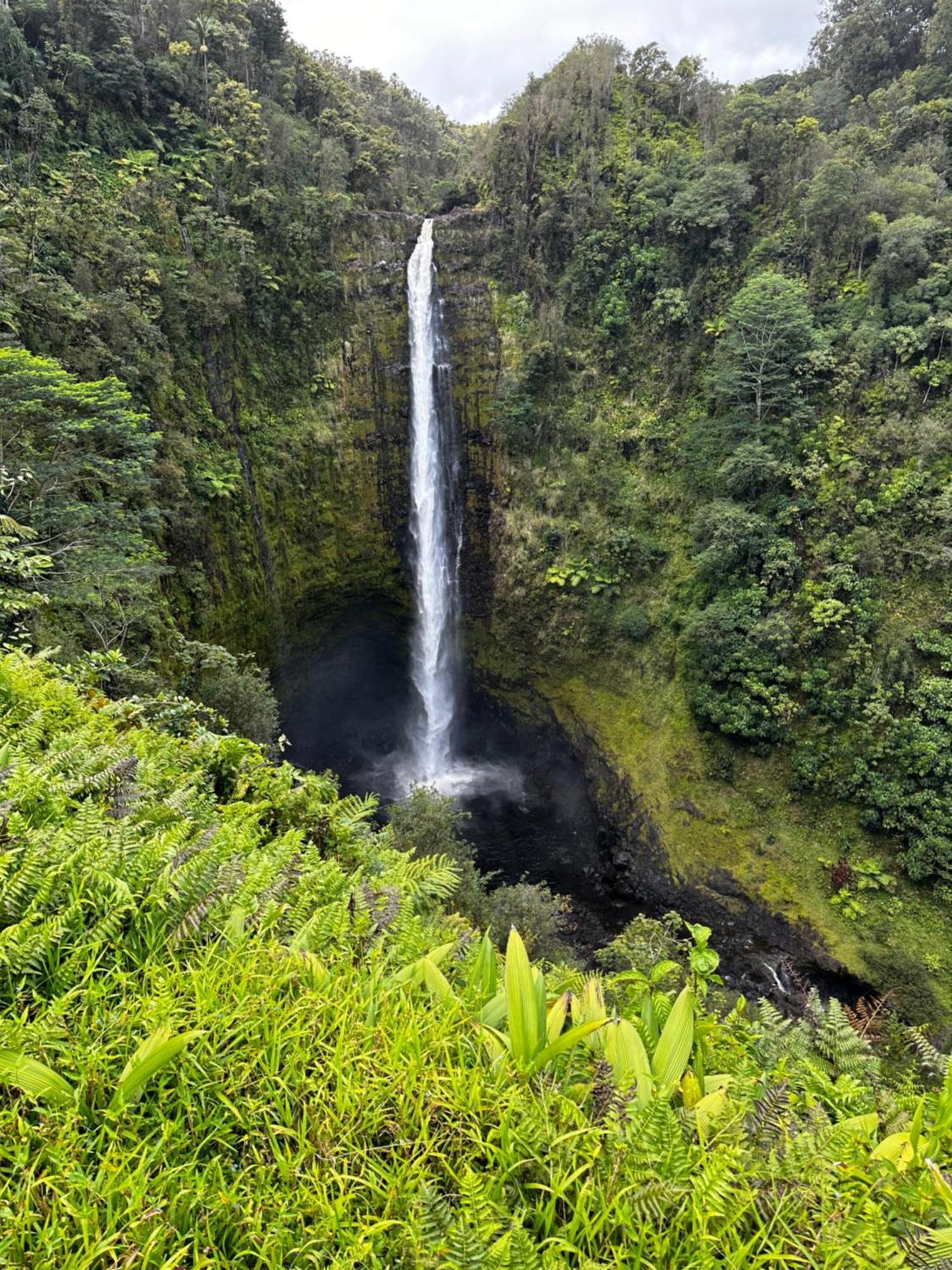 Wild Ginger Hotel Hilo Zewnętrze zdjęcie