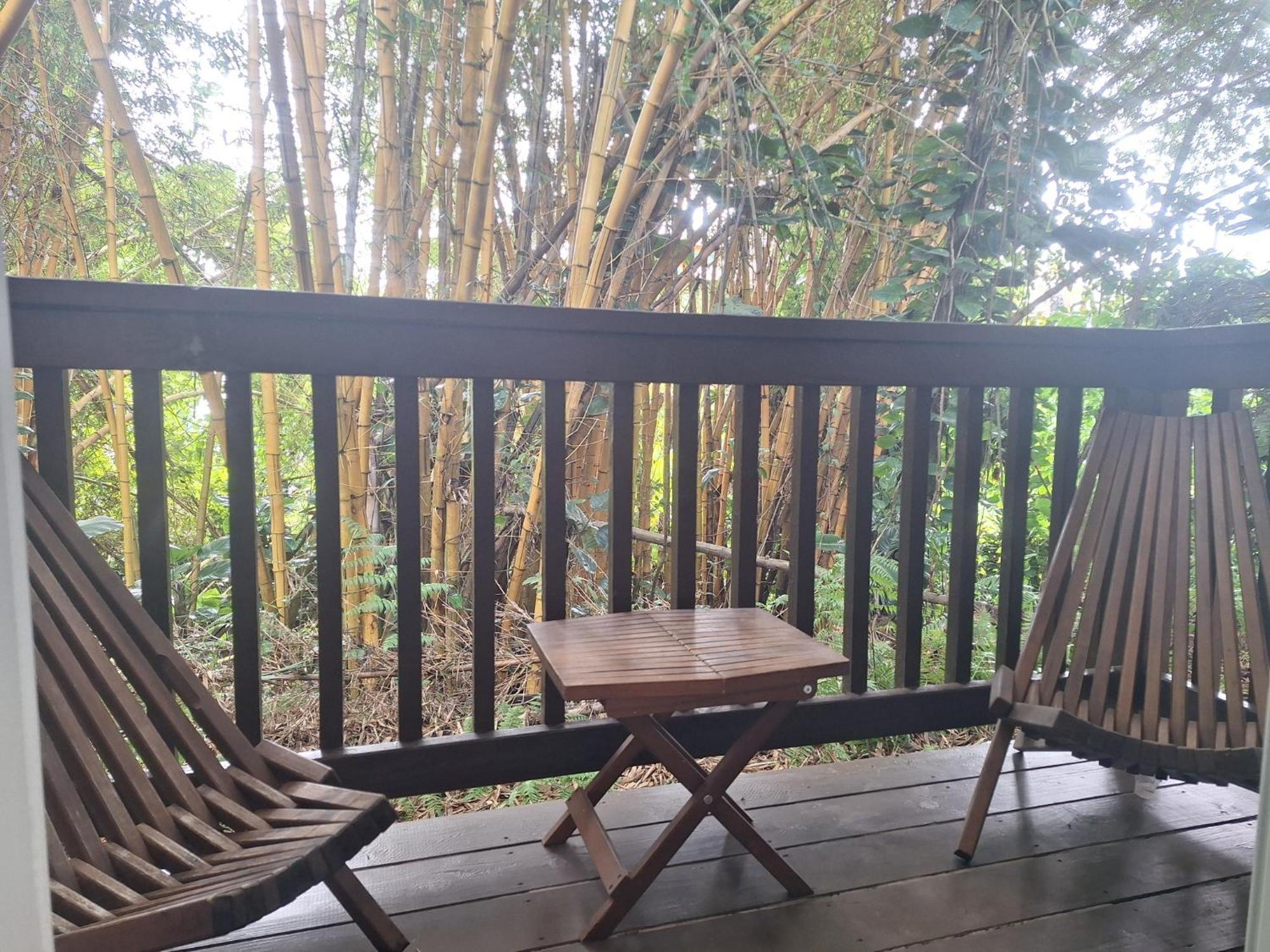 Wild Ginger Hotel Hilo Zewnętrze zdjęcie